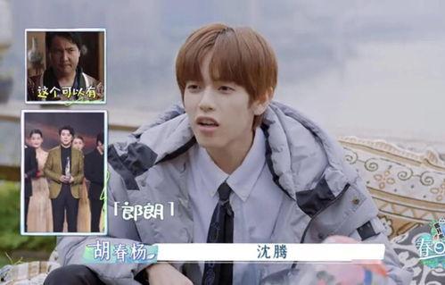 关注娱乐圈吃瓜