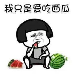 吃瓜娱乐圈动漫